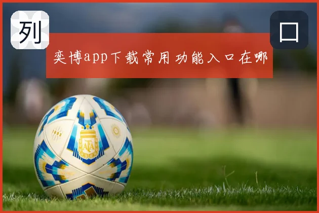 奕博app下载常用功能入口在哪